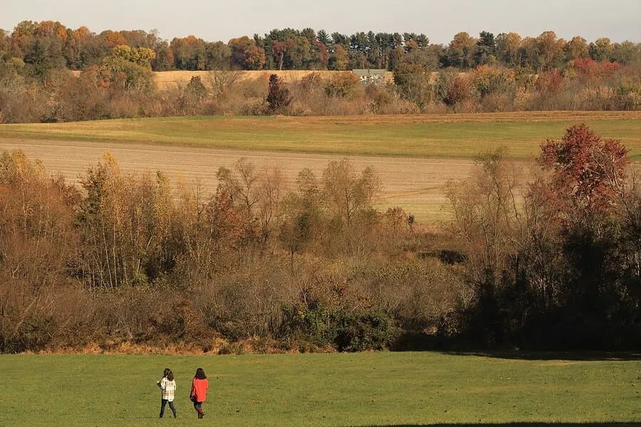 Two People Walk Across A Large, Grassy Field In Autumn, With A Mix Of Bare Trees And Colorful Foliage In The Background Under A Sunny Sky.