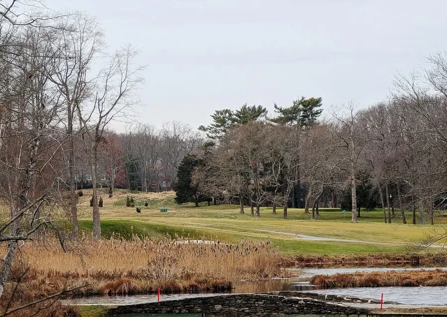 A View Of A Green Golf Course With A Small Pond In The Foreground, Bordered By A Stone Bridge And Tall, Brown Reeds, With A Line Of Trees In The Distance.